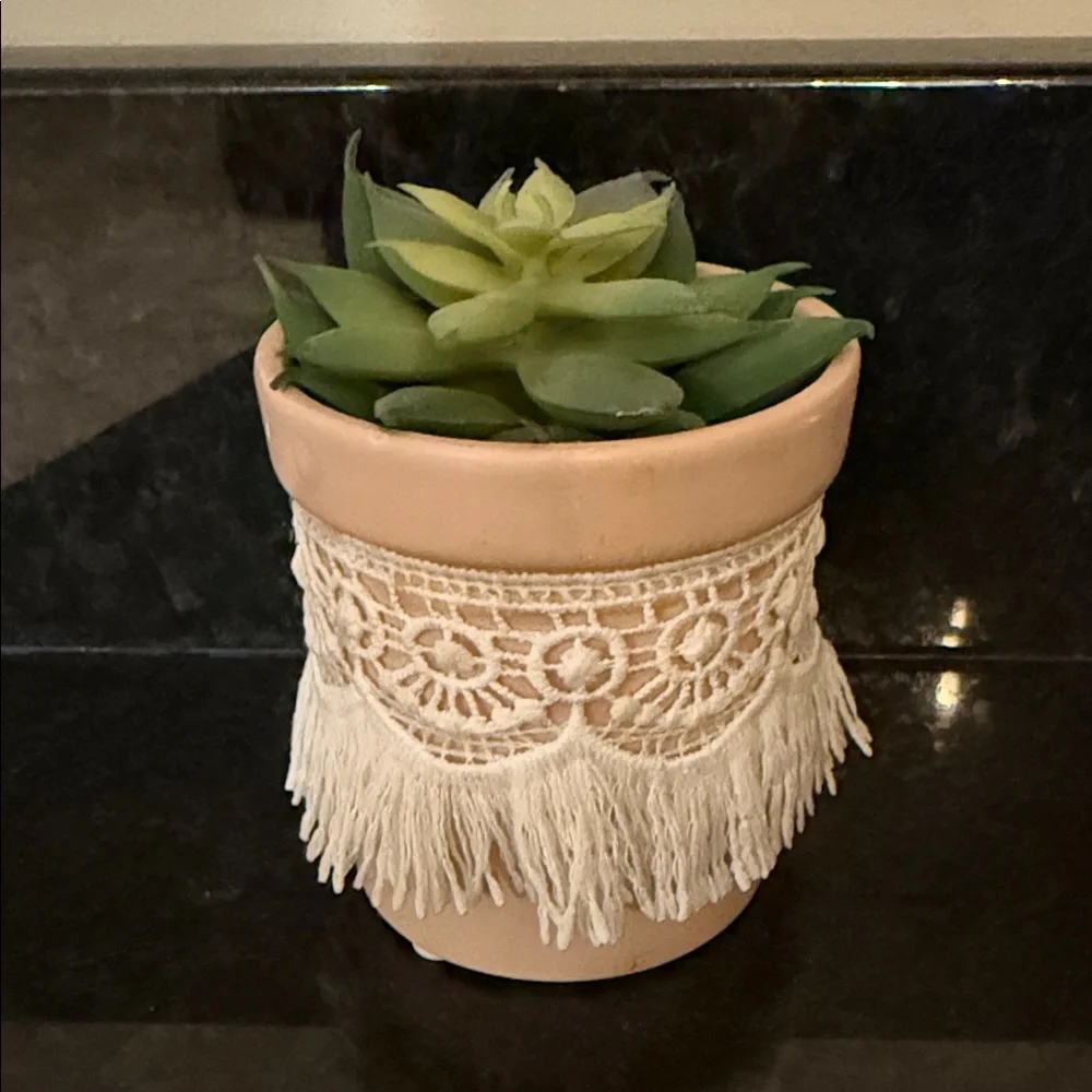 Two fake succulent plants in pots home or dorm decor